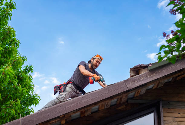 Best Roof Maintenance and Cleaning  in Clive, IA