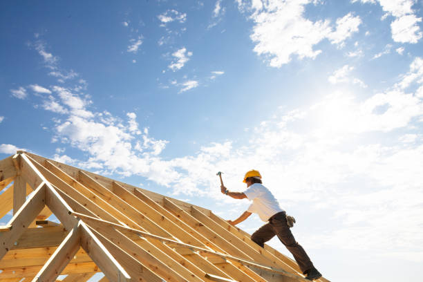 Best Sheet Metal Roofing  in Clive, IA